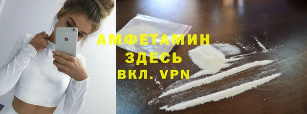 гидра Арсеньев