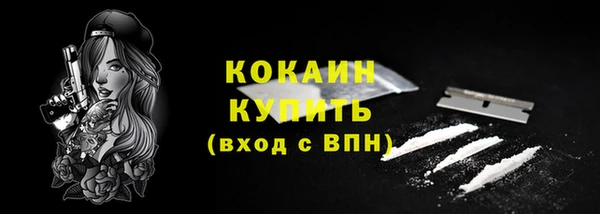 гидра Арсеньев