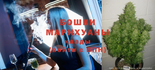 гидра Арсеньев