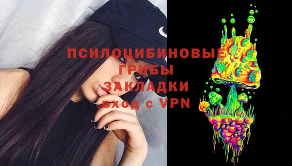гидра Арсеньев