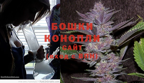 гидра Арсеньев